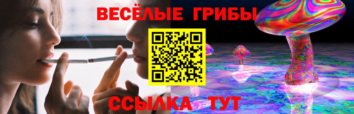 Выборг  Галлюциногенные грибы мицелий  Вход с VPN 
